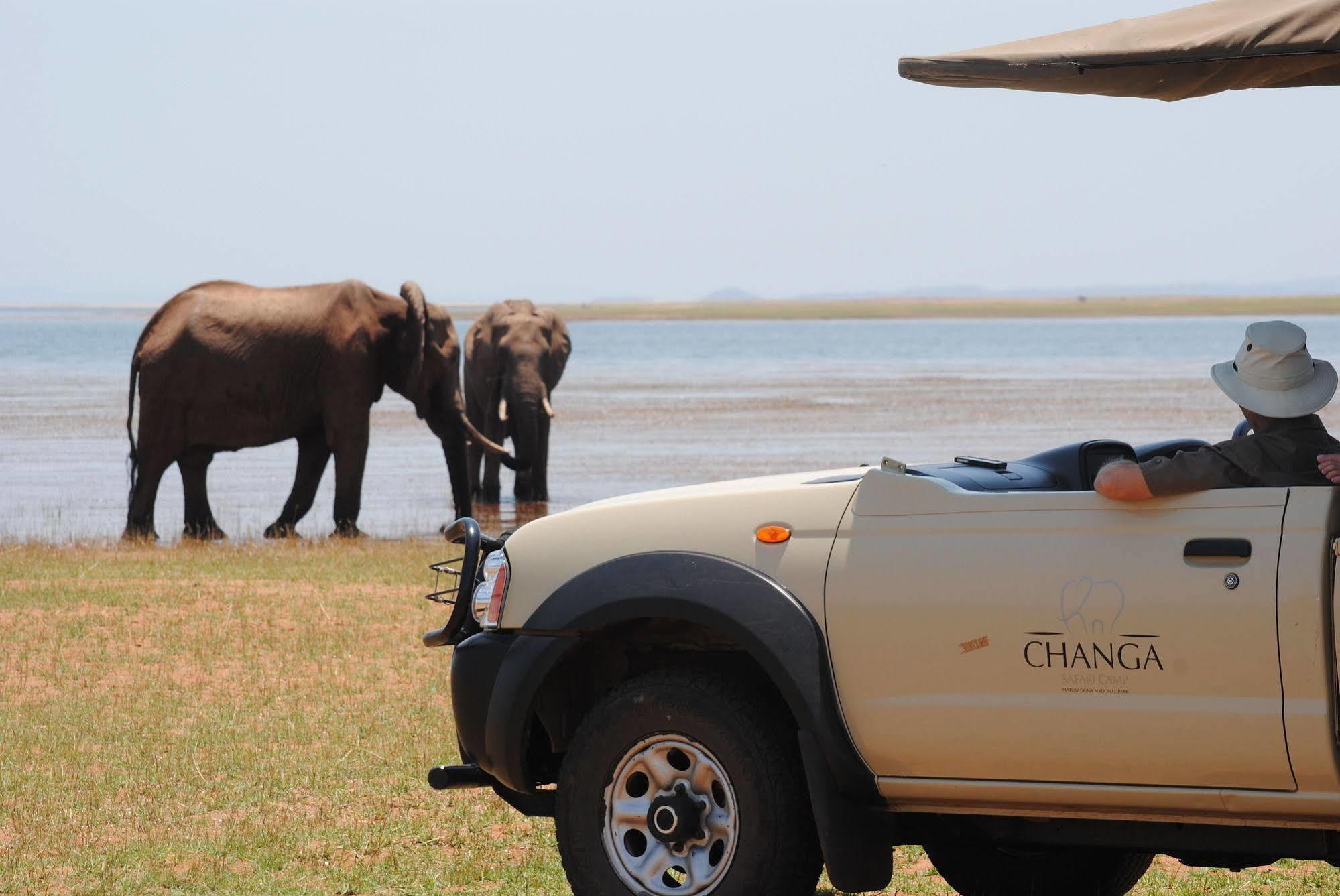 Changa Safari Camp Matusadona National Park Esterno foto