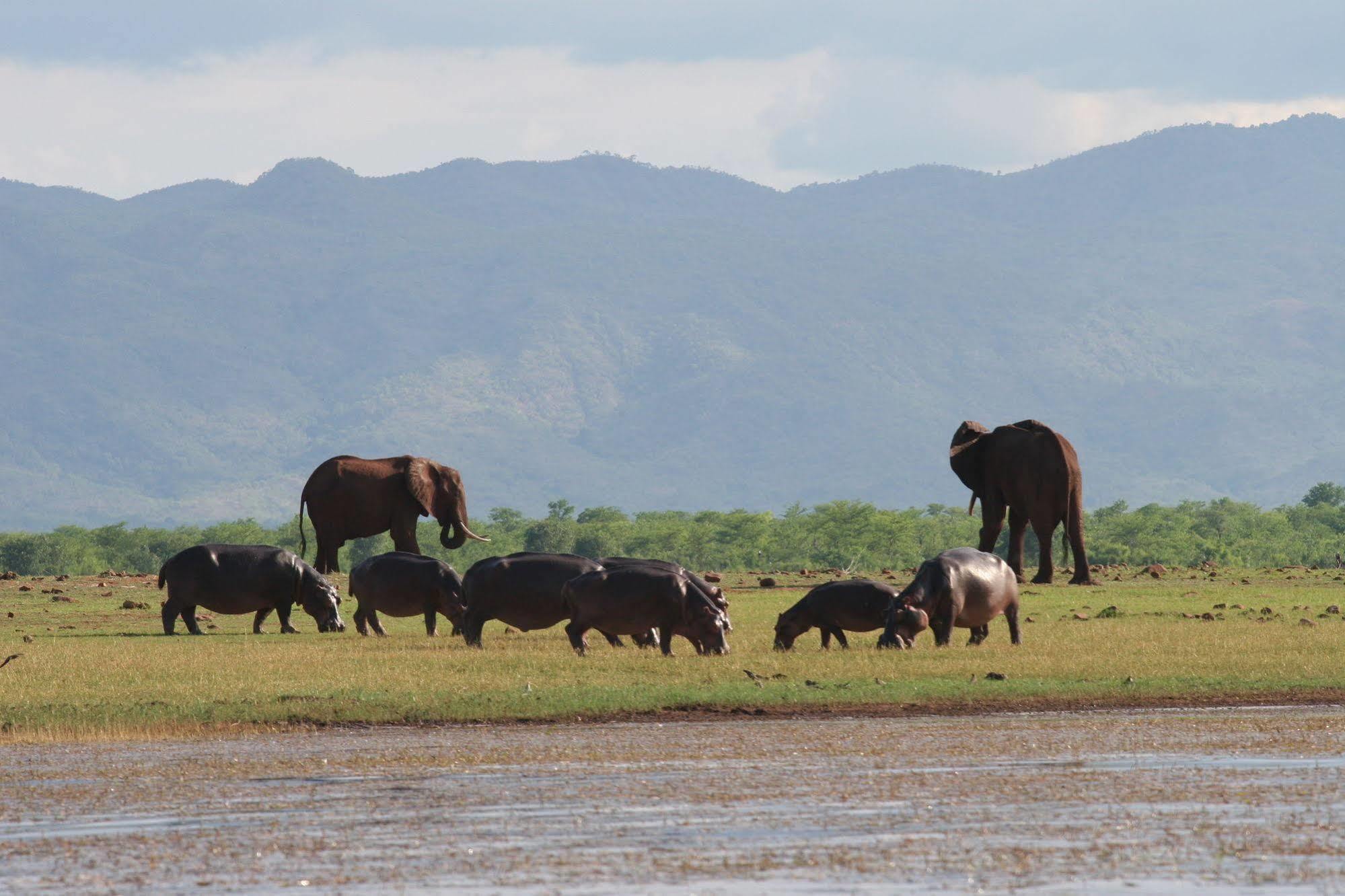 Changa Safari Camp Matusadona National Park Esterno foto